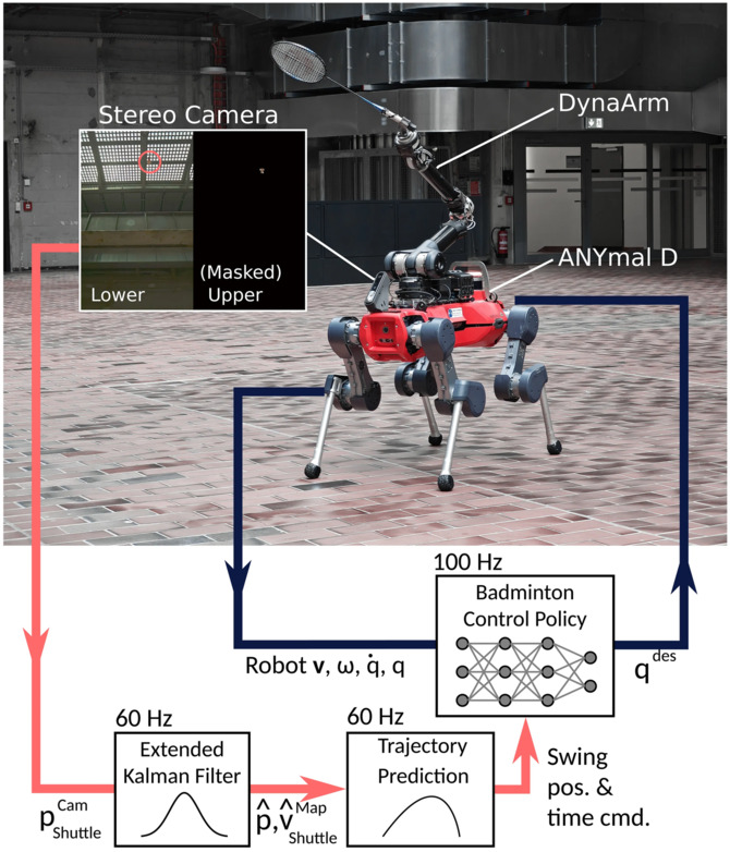 Naukowcy zbudowali robota, który gra w badmintona lepiej niż większość ludzi. Zobacz, co potrafi ANYmal‑D od ETH Zurich [2]
