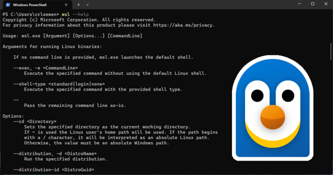 Linux kernel 6.16 rc4 - kolejna odsłona jądra systemu w wersji beta. Poprawki sterowników, stabilności oraz systemów plików [3]