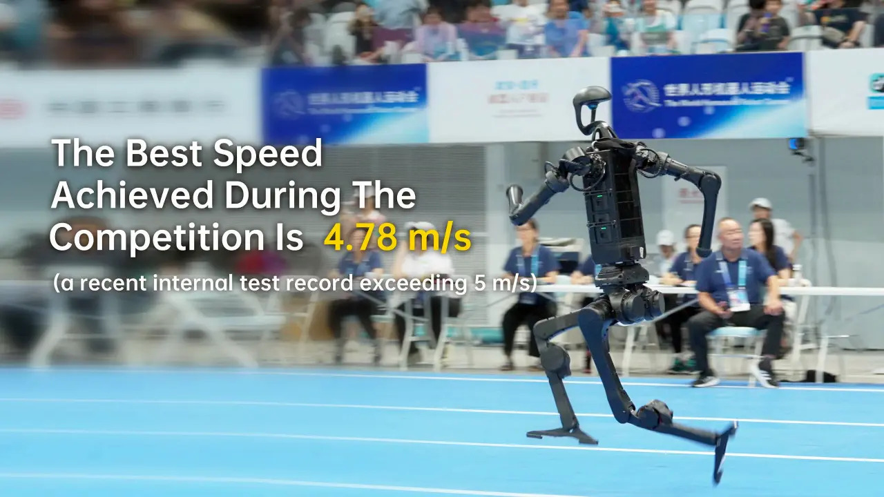 WBSB×HUMAN ROBOT:PANDEAD(Chinchiro) WBSB×HUMAN ROBOT:PANDEAD(Chinchiro) Wbsb Human Robot Pandead