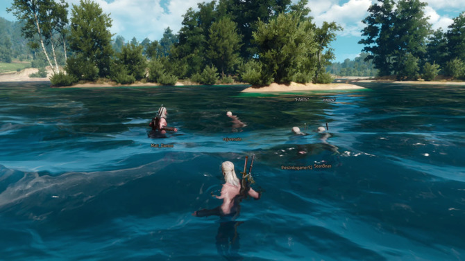 Wiedźmin 3: Dziki Gon - oto modyfikacja wprowadzająca multiplayer. Twórcy zapraszają na wspólne przygody [7]