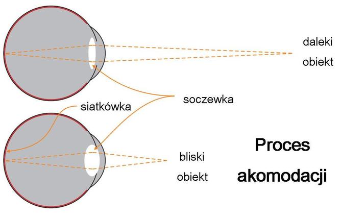Moje dziecko za dużo gra? O graniu w pytaniach i odpowiedziach [9]