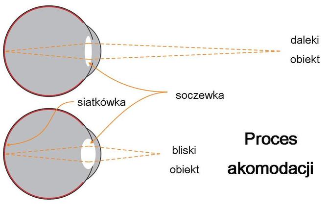 Moje dziecko za dużo gra? O graniu w pytaniach i odpowiedziach [9]