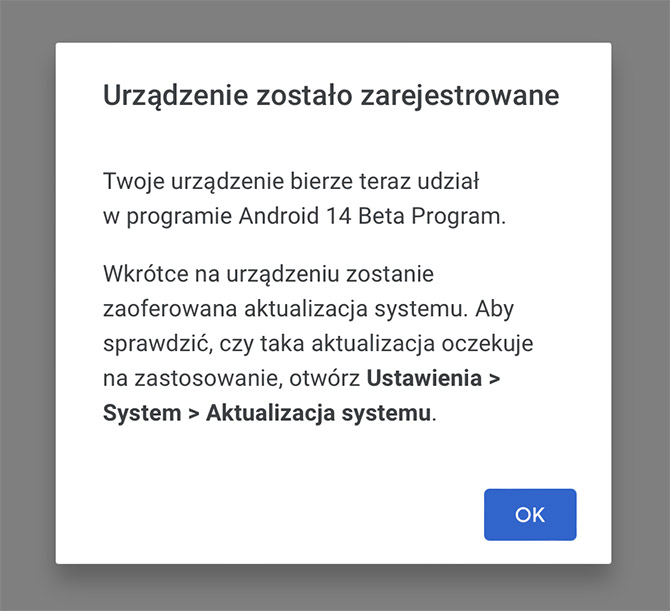 Jak zainstalować system Android 14 na smartfonie Google Pixel i nie tylko? To bardzo łatwe! Poradnik krok po kroku [nc1]