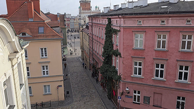 Porównanie jakości aparatów w smartfonach Samsung Galaxy S25 Ultra i Galaxy S24 Ultra. Sprawdź, który robi lepsze zdjęcia i filmy [nc1]