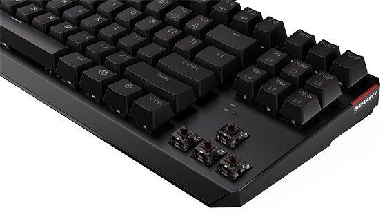 Klawiatura ENDORFY Thock TKL Brown - foto 4