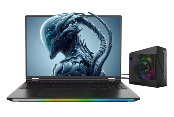 Laptop Dream Machines RX5090-16PL27 - foto 1